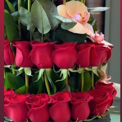 Valentines Day Roses