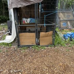 Retriever Dog Kennel