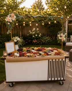 Snack Cart