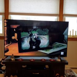 55 Inch Vizio HD TV...NOT A SMART TV