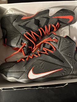 Lebron 12 Court vision 