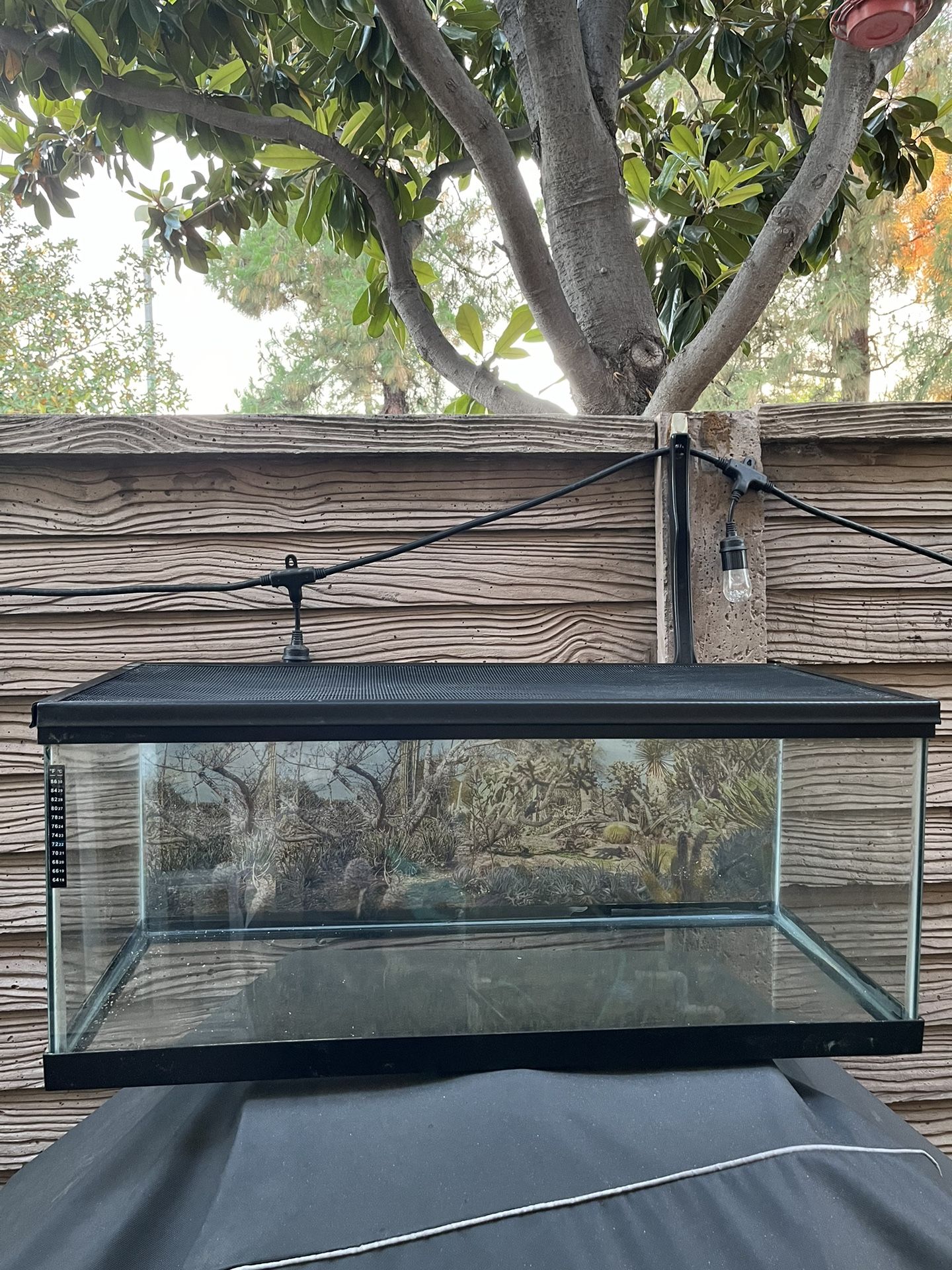 reptile tank