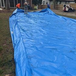 Dog Dock Diving Pool