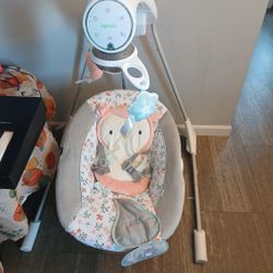 Ingenuity Baby Swing 