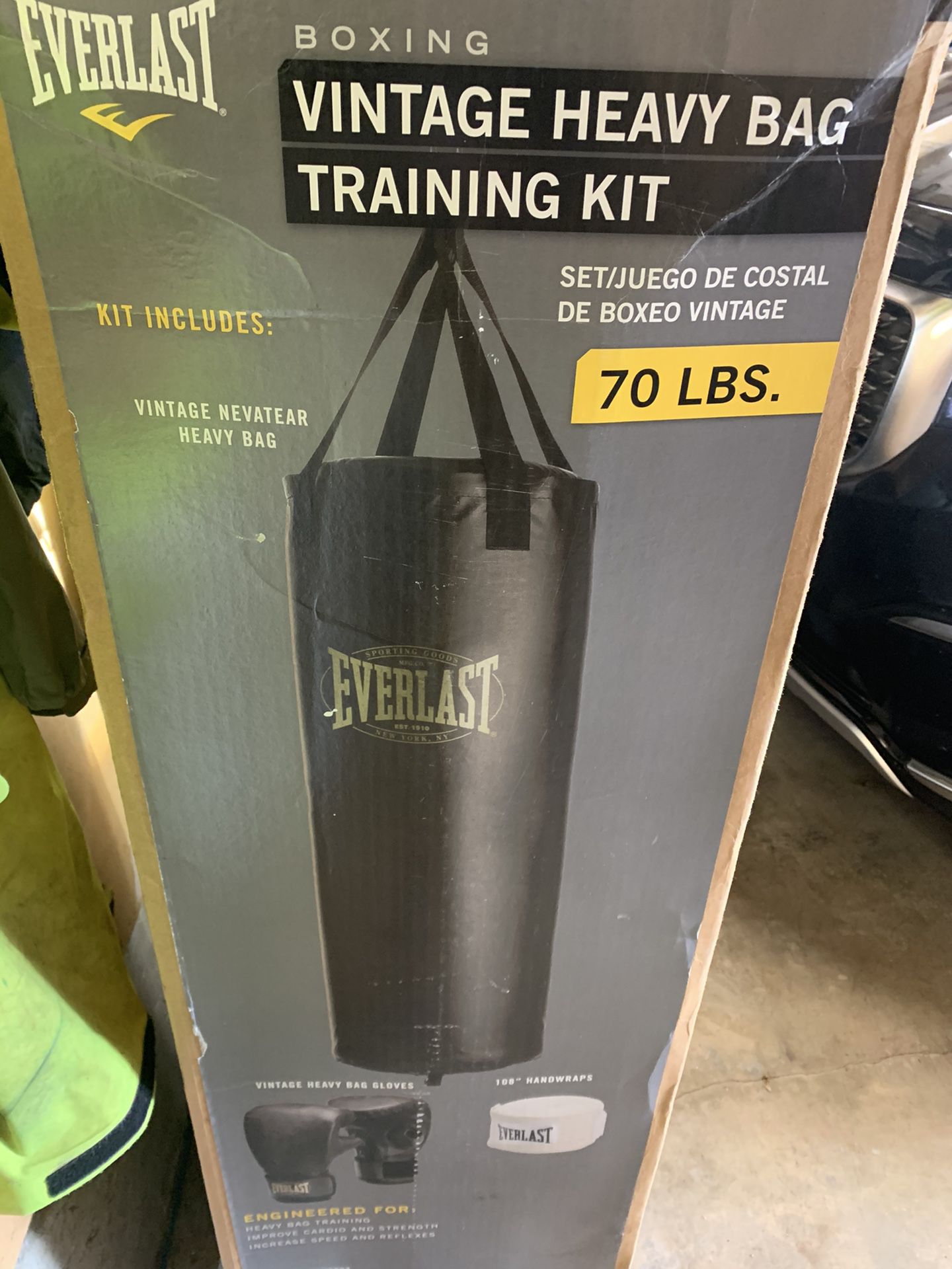 Everlast punching bag kit