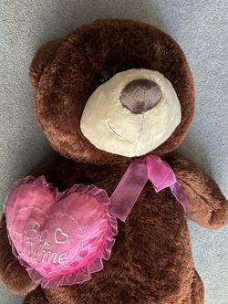 Big Brown Teddy Bear