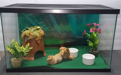 10 Gallons Reptile Tank Kit Top Opening 