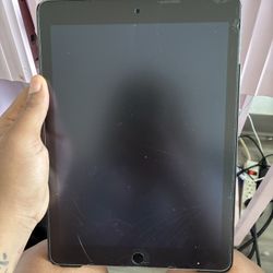 Apple iPad 