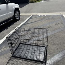 Dog Cage 