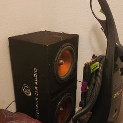 2 12 Inch Subwoofers 