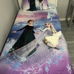Twin Size Frozen Bed in a bag