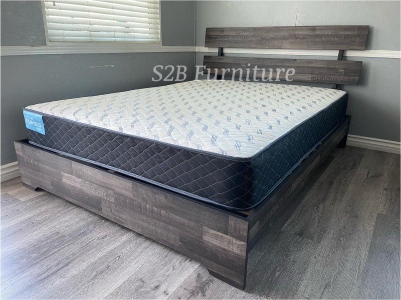 King Grey Aticus With Ortho Matres!!