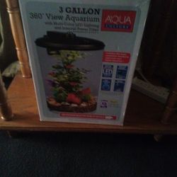 3 Gallon Fish Tank