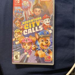 Nintendo Switch Game