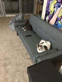 Futon
