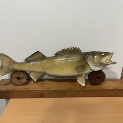 Walleye Mount