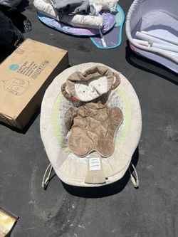 Baby Bouncer