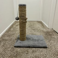 Cat Seagrass Scratch + Play Post with Dangling Ball