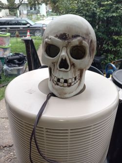 Life size skull plug in lights up
