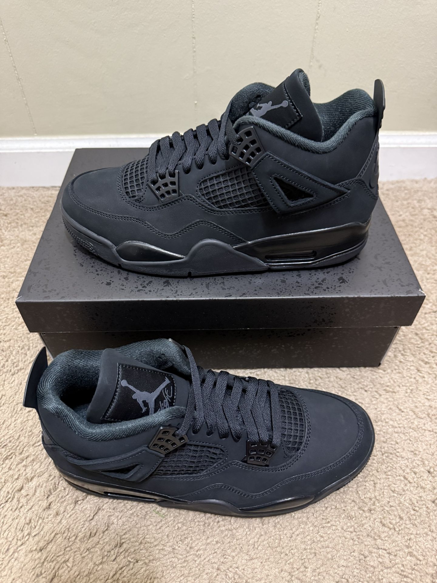 Brand New Jordan 4 Black Cat 2025