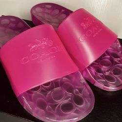 COACH sz6 Bold pink Jellies