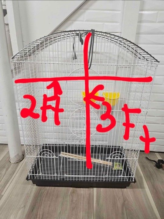 Bird Cage