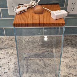 Large lighted glass terrarium