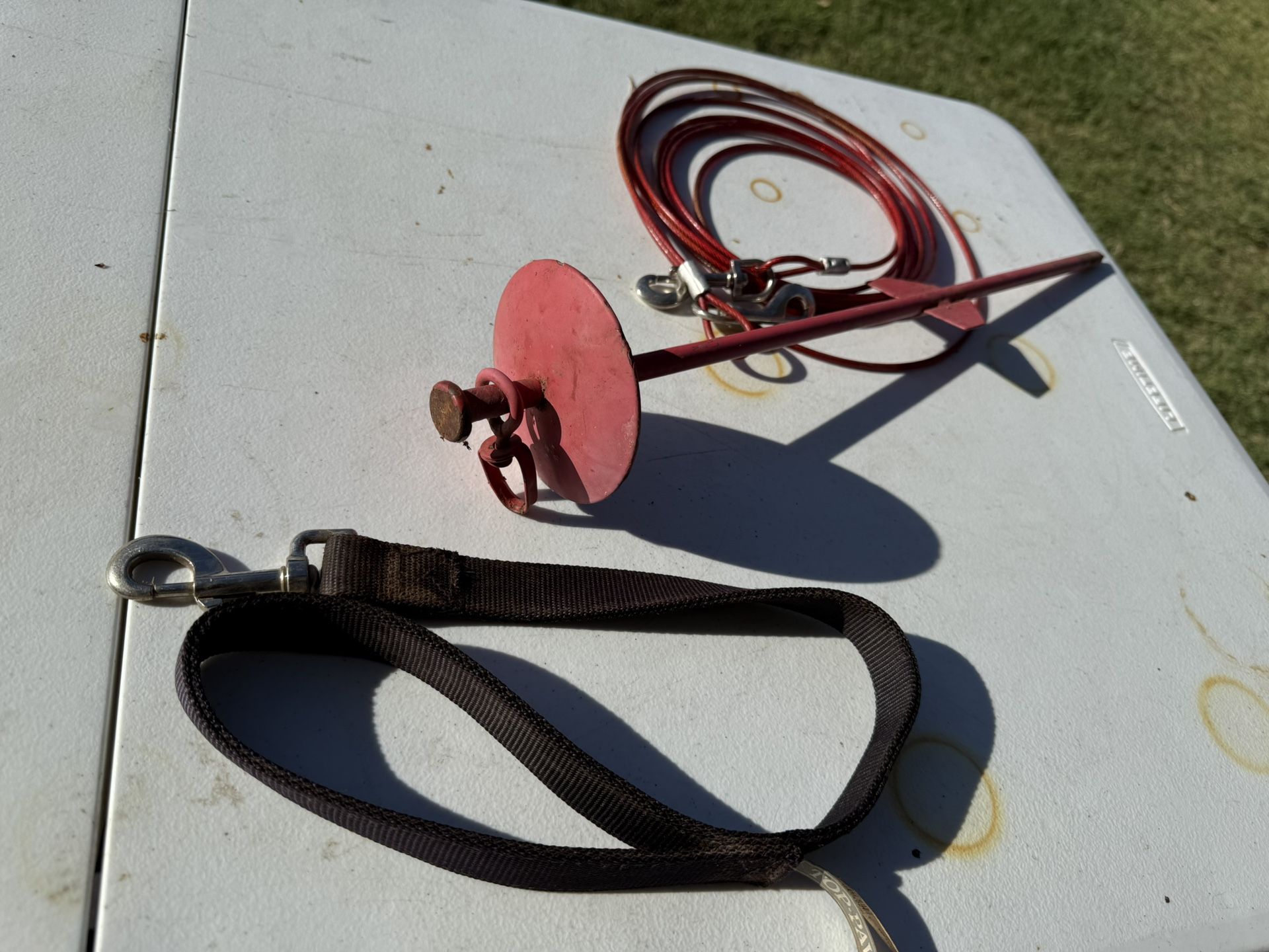 Dog Training Leash, Stake and Cable