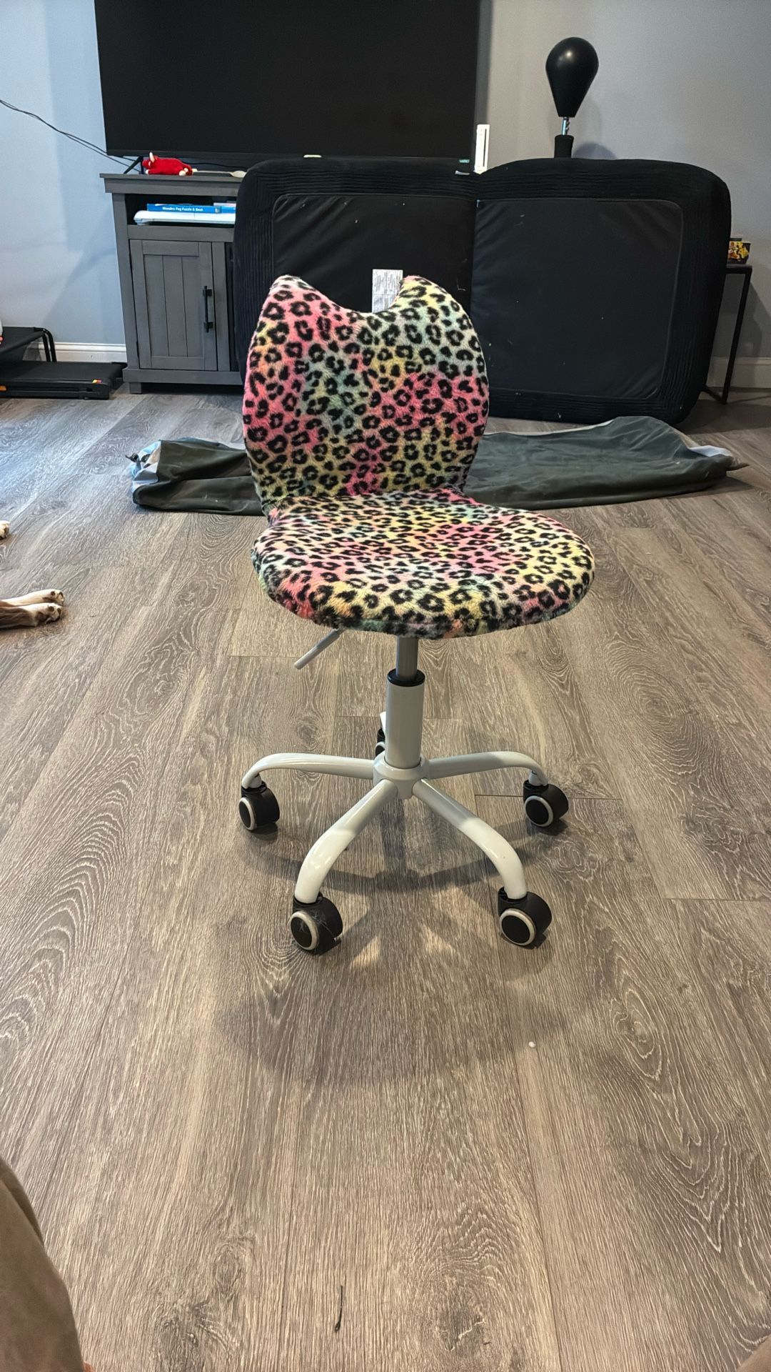 Girls Desk Chair