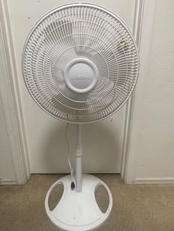 White lasko fan