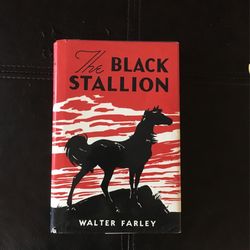 Vintage Book, The Black Stallion Vintage Book