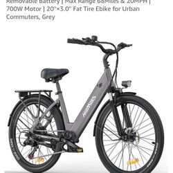 Engewe 350w Motor Electric Bicycle 