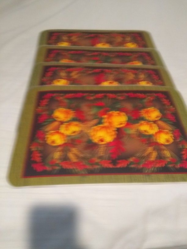 four Place mats double Sided 17 inches width x 12 inches Tall