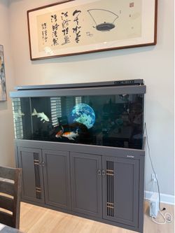 Large display aquarium