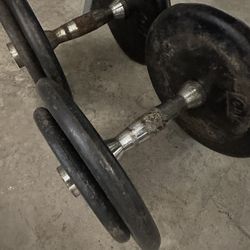 30lb Dumbbells 