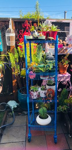 PLANT STAND