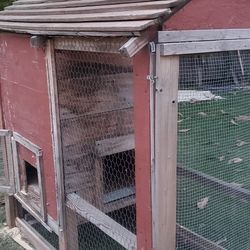 Chicken Coupe