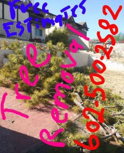 Treee rrelovall