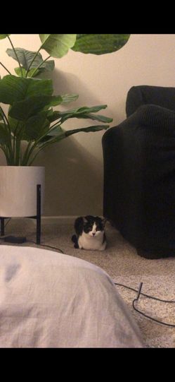 Fake Plant With Modern Floor Vase 