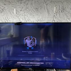  65 Inch Flatscreen 