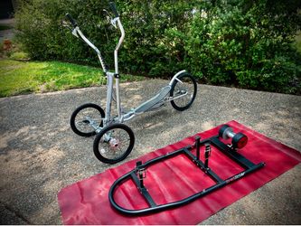Street Strider for sale