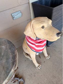 Labrador concrete statue