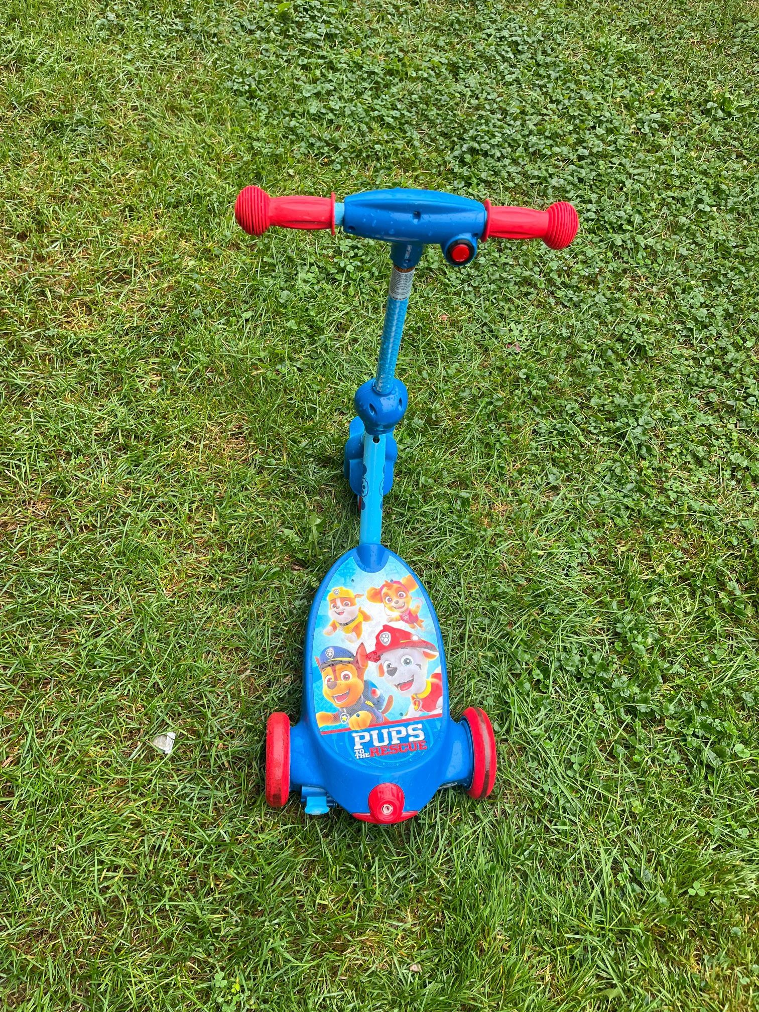 Scooter