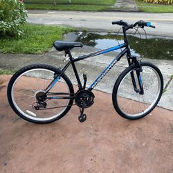 26’ Adult Bicycle 