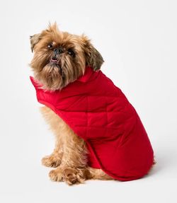 LOFT Dog Red Puffer Jacket NWT