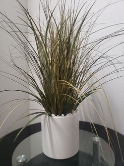 Fake plant