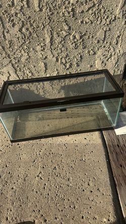 Fish tank