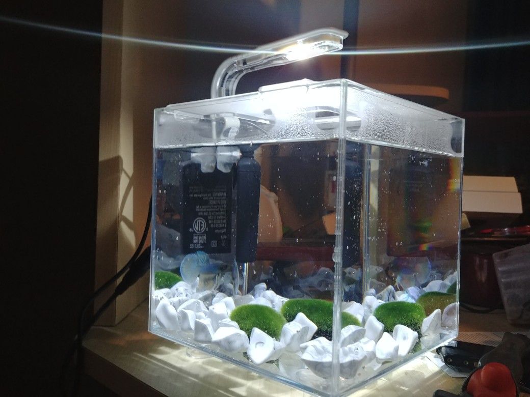 Desk glass fish tank. Heater. Decor. & lighting.