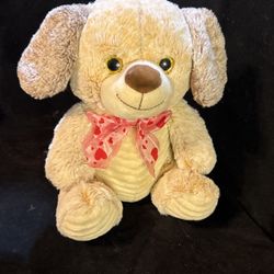 Osito De Peluche Chico