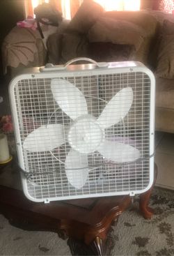 Fan